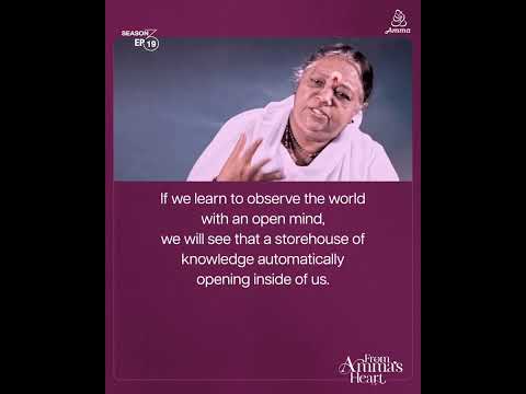 Waves of Wisdom: Navigating Life’s Tides with Ancient Insights – From Amma’s Heart S3 E19 Highlights