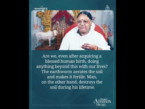 What We Give, We Get: Rediscovering Our Role in Nature – From Amma’s Heart S4 E 08