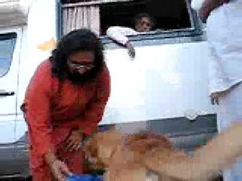 Amma feeding Dog-2006
