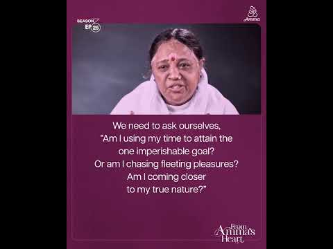 Amma’s Insight: Understanding the True Purpose of Life – From Amma’s Heart S3 E25 Highlights